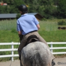 Reitkurs mit Desmond O’Brien - 2012