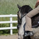 Reitkurs mit Desmond O’Brien - 2012