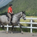 Reitkurs mit Desmond O’Brien - 2012