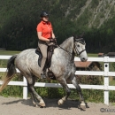 Reitkurs mit Desmond O’Brien - 2012