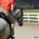 Reitkurs mit Desmond O’Brien - 2012