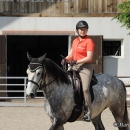 Reitkurs mit Desmond O’Brien - 2012
