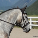 Reitkurs mit Desmond O’Brien - 2012