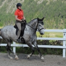 Reitkurs mit Desmond O’Brien - 2012
