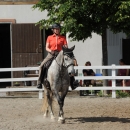 Reitkurs mit Desmond O’Brien - 2012