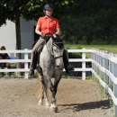 Reitkurs mit Desmond O’Brien - 2012