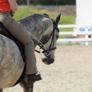 Reitkurs mit Desmond O’Brien - 2012