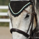 Reitkurs mit Desmond O’Brien - 2012