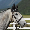 Reitkurs mit Desmond O’Brien - 2012