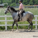 Reitkurs mit Desmond O’Brien - 2012