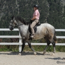 Reitkurs mit Desmond O’Brien - 2012