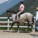 Reitkurs mit Desmond O’Brien - 2012