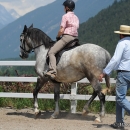 Reitkurs mit Desmond O’Brien - 2012