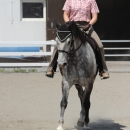 Reitkurs mit Desmond O’Brien - 2012