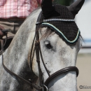 Reitkurs mit Desmond O’Brien - 2012