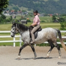 Reitkurs mit Desmond O’Brien - 2012
