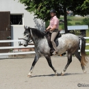 Reitkurs mit Desmond O’Brien - 2012