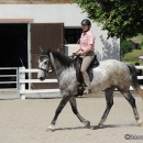 Reitkurs mit Desmond O’Brien - 2012