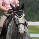Reitkurs mit Desmond O’Brien - 2012