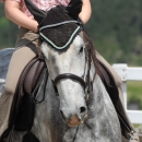 Reitkurs mit Desmond O’Brien - 2012