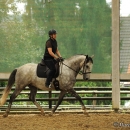Barockes Reiten mit Richard Hinrichs - September 2012