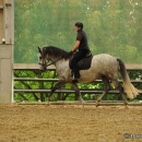 Barockes Reiten mit Richard Hinrichs - September 2012