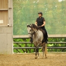 Barockes Reiten mit Richard Hinrichs - September 2012