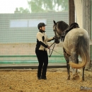 Barockes Reiten mit Richard Hinrichs - September 2012