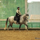 Barockes Reiten mit Richard Hinrichs - September 2012