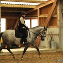 Barockes Reiten mit Richard Hinrichs - September 2012