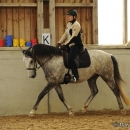 Barockes Reiten mit Richard Hinrichs - September 2012