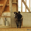 Barockes Reiten mit Richard Hinrichs - September 2012