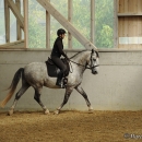 Barockes Reiten mit Richard Hinrichs - September 2012