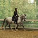 Barockes Reiten mit Richard Hinrichs - September 2012