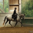 Barockes Reiten mit Richard Hinrichs - September 2012