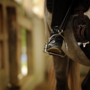 Barockes Reiten mit Richard Hinrichs - September 2012