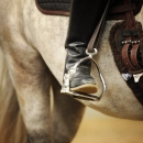 Barockes Reiten mit Richard Hinrichs - September 2012