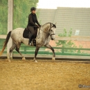Barockes Reiten mit Richard Hinrichs - September 2012