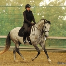 Barockes Reiten mit Richard Hinrichs - September 2012