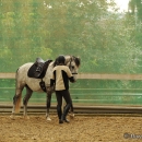 Barockes Reiten mit Richard Hinrichs - September 2012