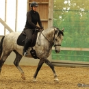 Barockes Reiten mit Richard Hinrichs - September 2012