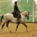 Barockes Reiten mit Richard Hinrichs - September 2012