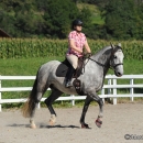 Reitkurs mit Desmond O’Brien - 2012