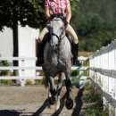 Reitkurs mit Desmond O’Brien - 2012