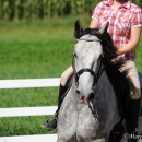 Reitkurs mit Desmond O’Brien - 2012