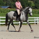 Reitkurs mit Desmond O’Brien - 2012