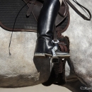 Reitkurs mit Desmond O’Brien - 2012