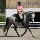 Reitkurs mit Desmond O’Brien - 2012