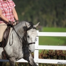 Reitkurs mit Desmond O’Brien - 2012