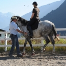 Reitkurs mit Desmond O’Brien - 2012